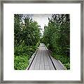 High Line Nyc #1 Framed Print