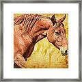 Horses #2 Framed Print