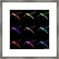 Hummingbird - 2054 F M - Bb Framed Print