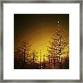 In This Twilight #1 Framed Print