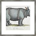 Indian Rhinoceros #1 Framed Print