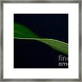 Infinity #1 Framed Print