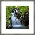 Jimez Hot Springs #1 Framed Print