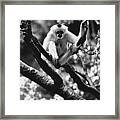 Just Hanging Out #1 Framed Print