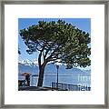 Lakeside With Trees #1 Framed Print