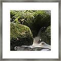 Landscape Of Becky Falls Waterfall In Dartmoor National Park Eng #1 Framed Print