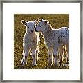 Little Gossips #1 Framed Print