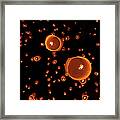 Loi Krathong Mass Lantern Launch #1 Framed Print