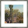 Lone Saguaro Framed Print