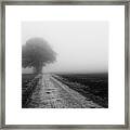 Lost In The Fog #2 Framed Print
