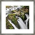 Lush Waterfall Olympic National Park #1 Framed Print