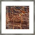 Mckee Springs Petroglyph - Utah #3 Framed Print