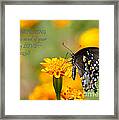 Morning Light Framed Print