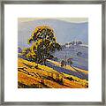 Morning Sunlight  #1 Framed Print