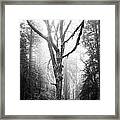 Moss And Tree #1 Framed Print