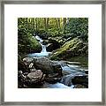 Mountain Stream #1 Framed Print