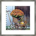 Mums In A Buggy Framed Print