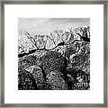 Natural Rock Wall  #1 Framed Print