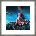 Octopus #1 Framed Print