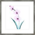 Orchid Flowers #1 Framed Print