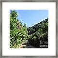 Path In Istan #1 Framed Print