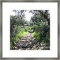 Path Near Almoharin #1 Framed Print