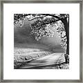 Path To The Woods #1 Framed Print