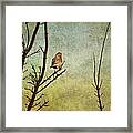 Perched #1 Framed Print