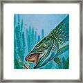 Pike And Jig Framed Print