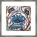 Pop Art Bulldog #1 Framed Print