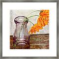 Poppies #1 Framed Print