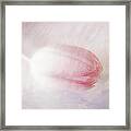Pretty In Pink #1 Framed Print