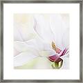 Purity #1 Framed Print