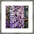 Purple Orchid Like Flower #1 Framed Print