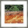 Queen River Polluted From Copper Mining #1 Framed Print