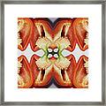 Red Bell Pepper #1 Framed Print