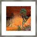 Red Cliffs And Conifers #1 Framed Print
