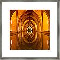 Reflection Of Perfection Framed Print