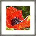 Remembrance #1 Framed Print