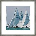 Sailboat In Bacardi Star Regatta #1 Framed Print