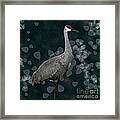 Sandhill Crane On Leaves #1 Framed Print