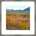 Silence Of The Fall #2 Framed Print