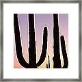 Silhouette Of Saguaro Cacti Carnegiea #1 Framed Print