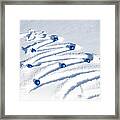 Snow Tree Framed Print