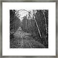 Solitude #2 Framed Print