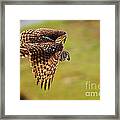 Spotted Eagle Owl In Flight #2 Framed Print