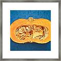 Squash #1 Framed Print