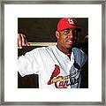 St. Louis Cardinals Photo Day Framed Print