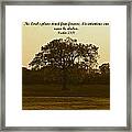 Stand Firm #1 Framed Print