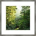 Sunrays In Forest, Hunsrueck #1 Framed Print